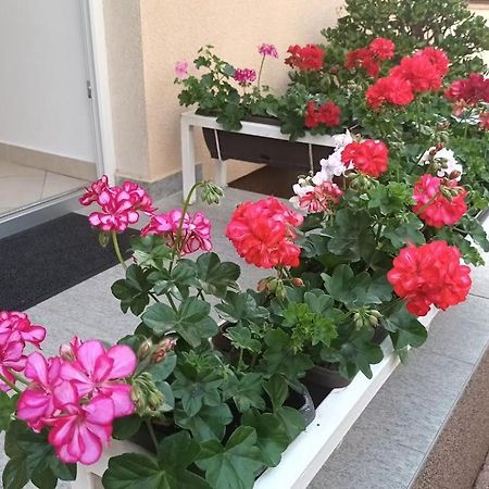 Apartment Marelja - Private Parking And Balcony Zadar Exterior photo